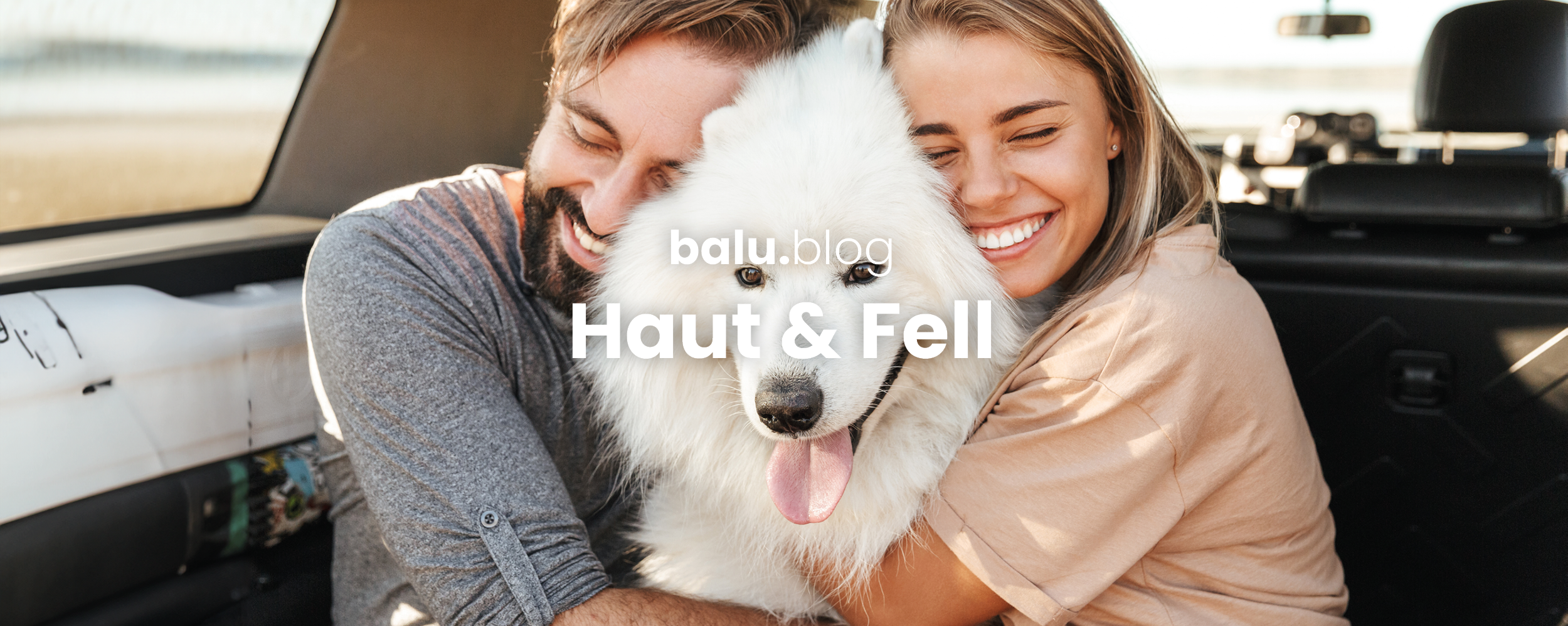 Hautkrankheiten beim Hund - eine Übersicht