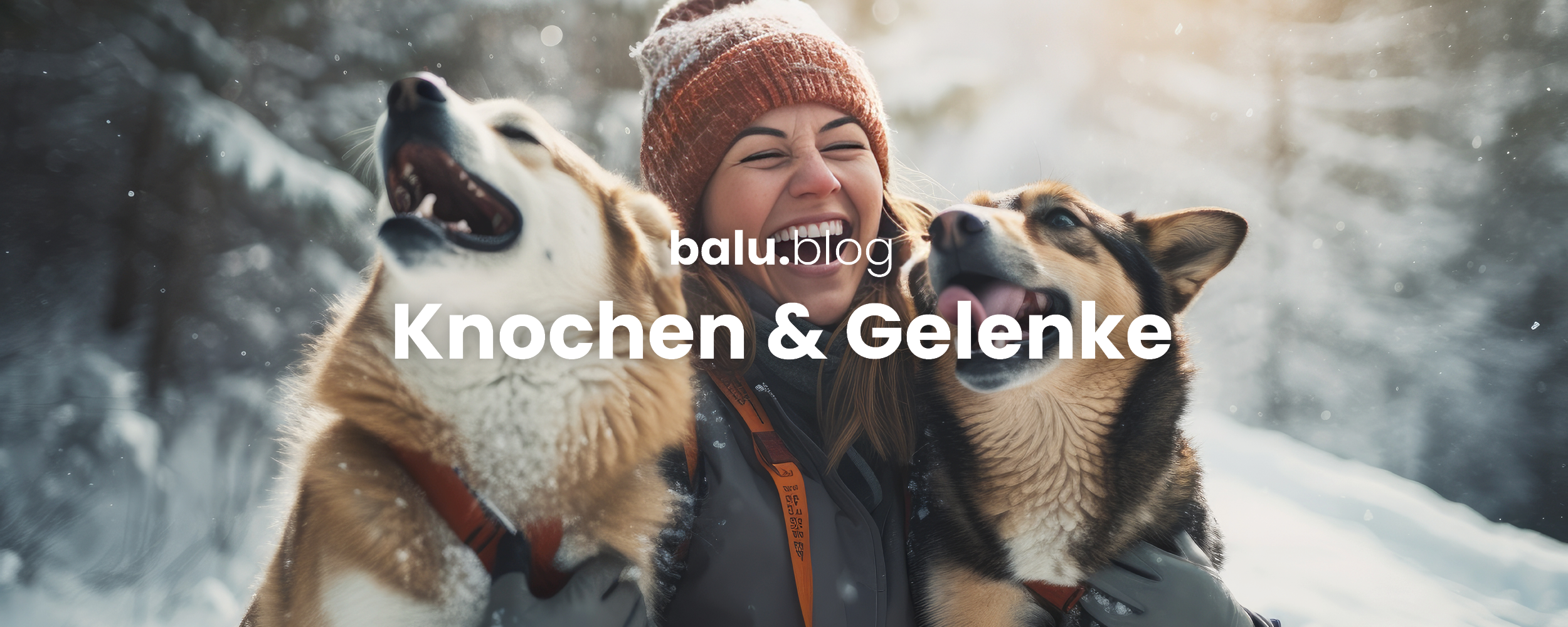 aktiver und schlauer Hund gibt einem Mann die Pfote