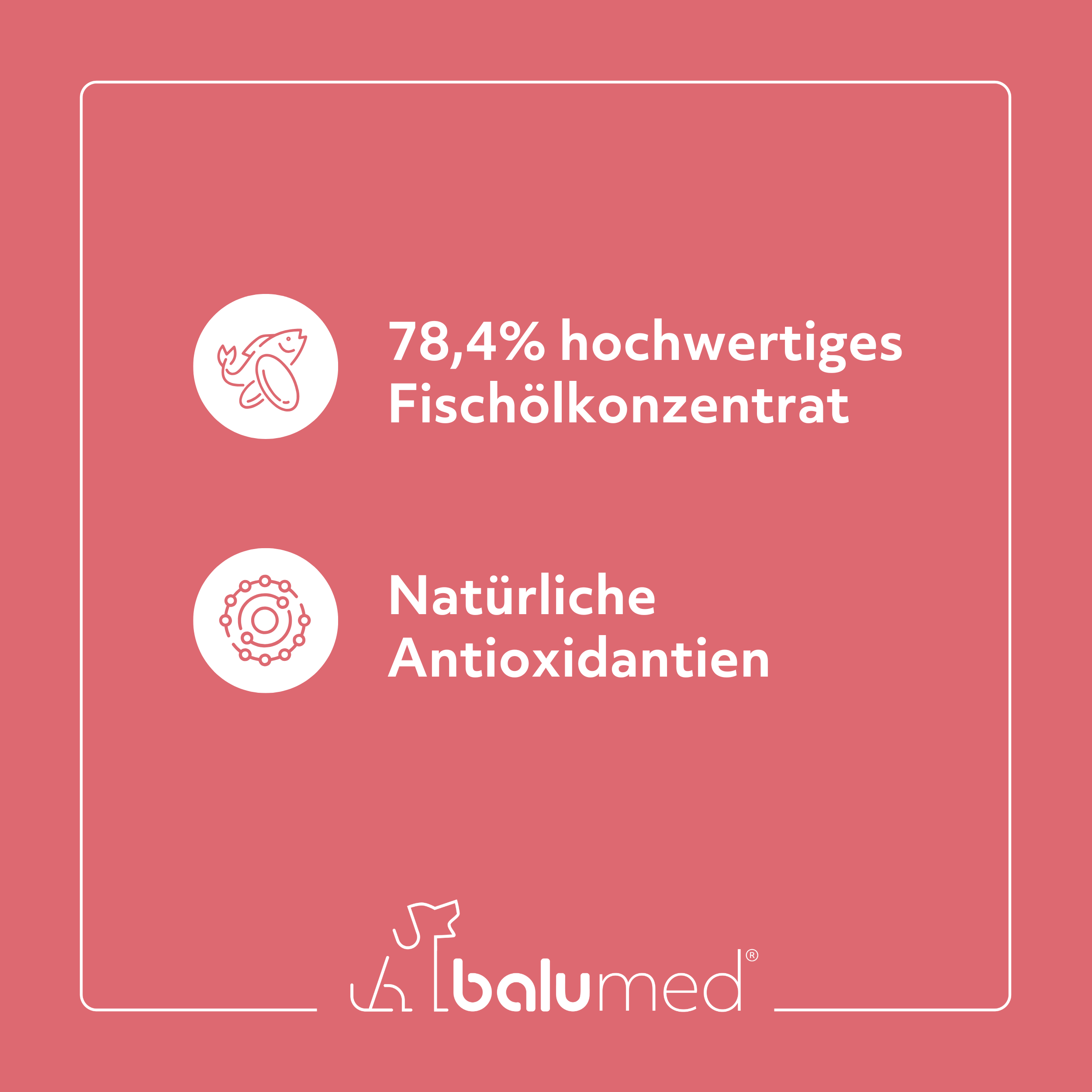 balumed® Omega 3 Kapseln für Hunde – 150 Kapseln à 1.000 mg – hochdosiert – Für Gehirn, Haut & Herz – Anti-Aging – 30 % DHA & EPA