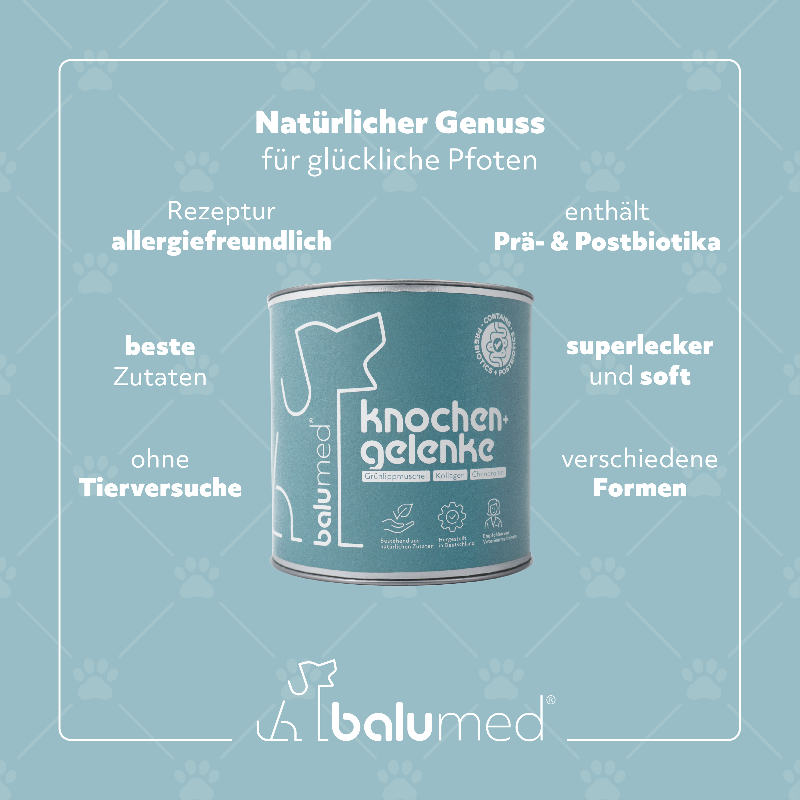 balumed® Snacks Knochen+Gelenke hochkonzentriert mit Grünlippmuschel für Hund, Leckerli mit Präbiotika, Postbiotika, Teufelskralle, Kollagen, 325 g