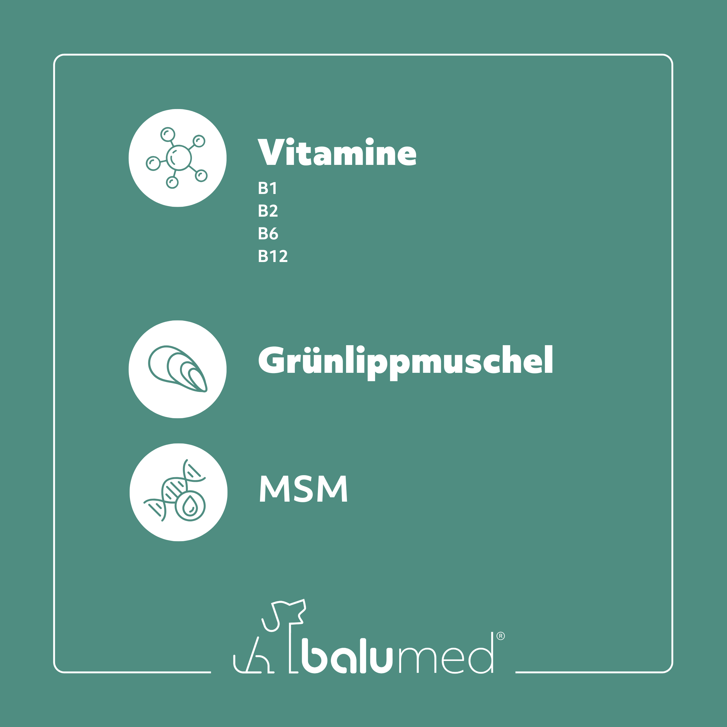 balumed® Haut+Fell – 150 Tabletten für Hunde – mit Bierhefe, MSM, Grünlippmuschel, Goldhirse, Vitamin D, B2 & Zink – 1500 mg pro Tablette