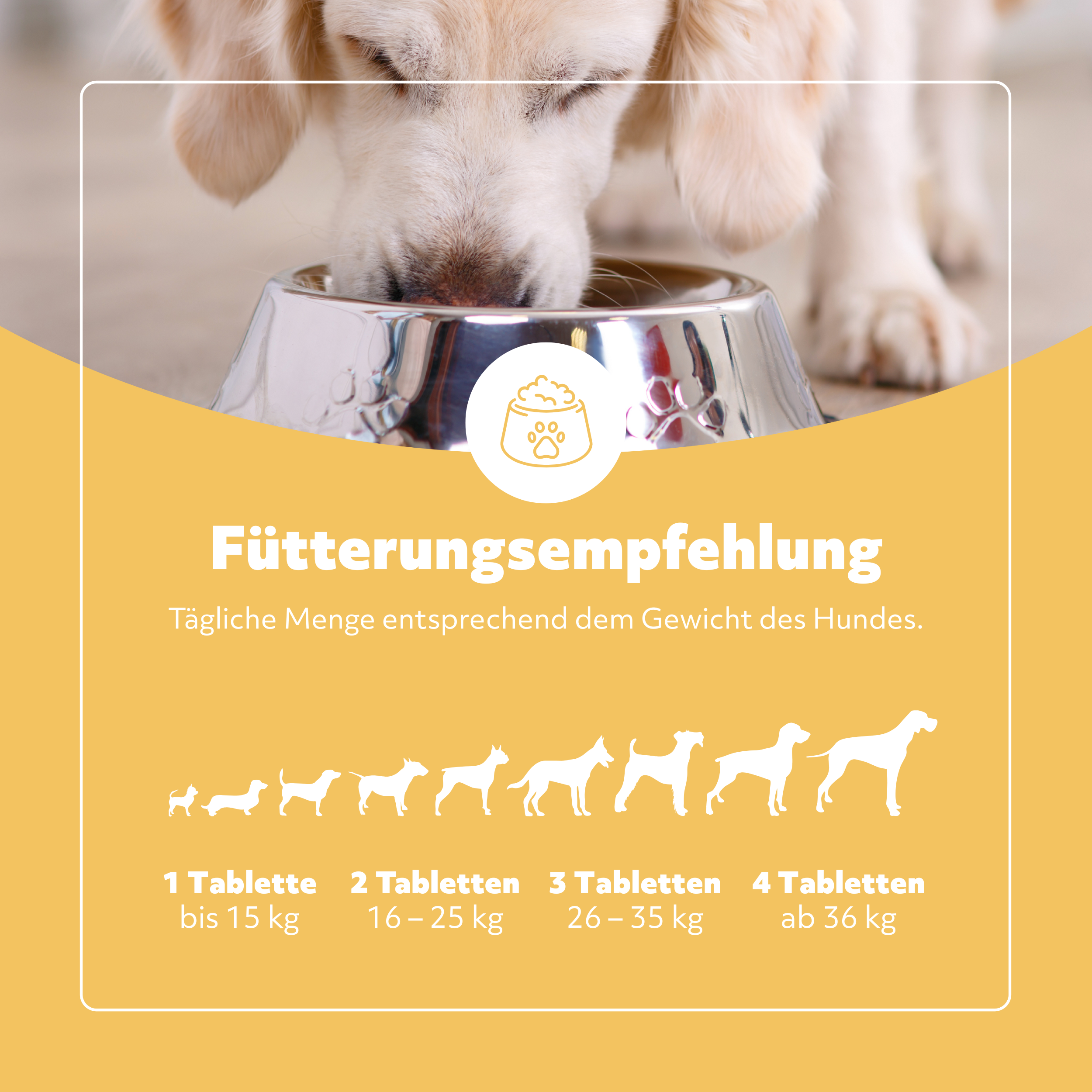balumed® Immun + Stärkung – 120 Tabletten für Hunde – mit Colostrum, Inulin, Bierhefe, Grünlippmuschel, Propolis & probiotischen Kulturen