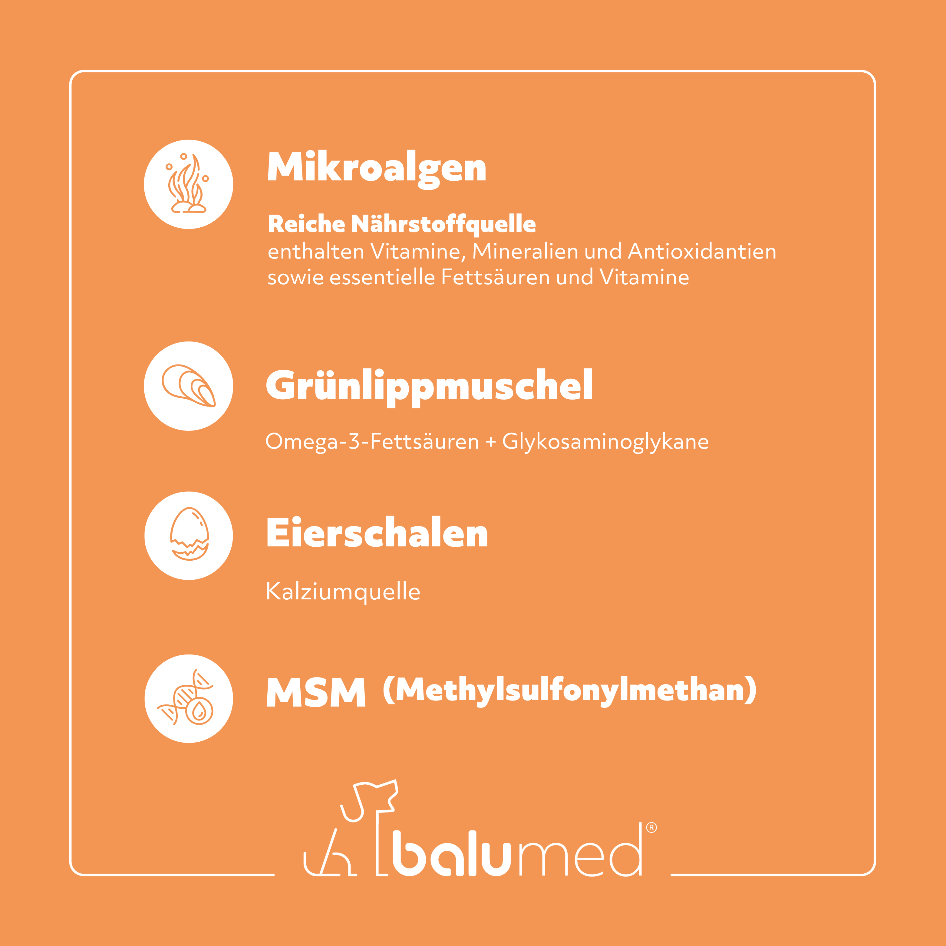 balumed® Senior + Vitalität – 120 Tabletten für ältere Hunde– Beweglichkeit, Gelenke & Vitalität – mit MSM, Eierschalen, Grünlippmuschel